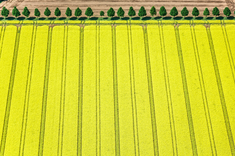 Illustration for article titled The Odd and Mesmerizing Aerial Photos of Klaus Leidorf
